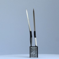 Z2TIS5