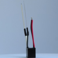 Z2WVS_3593