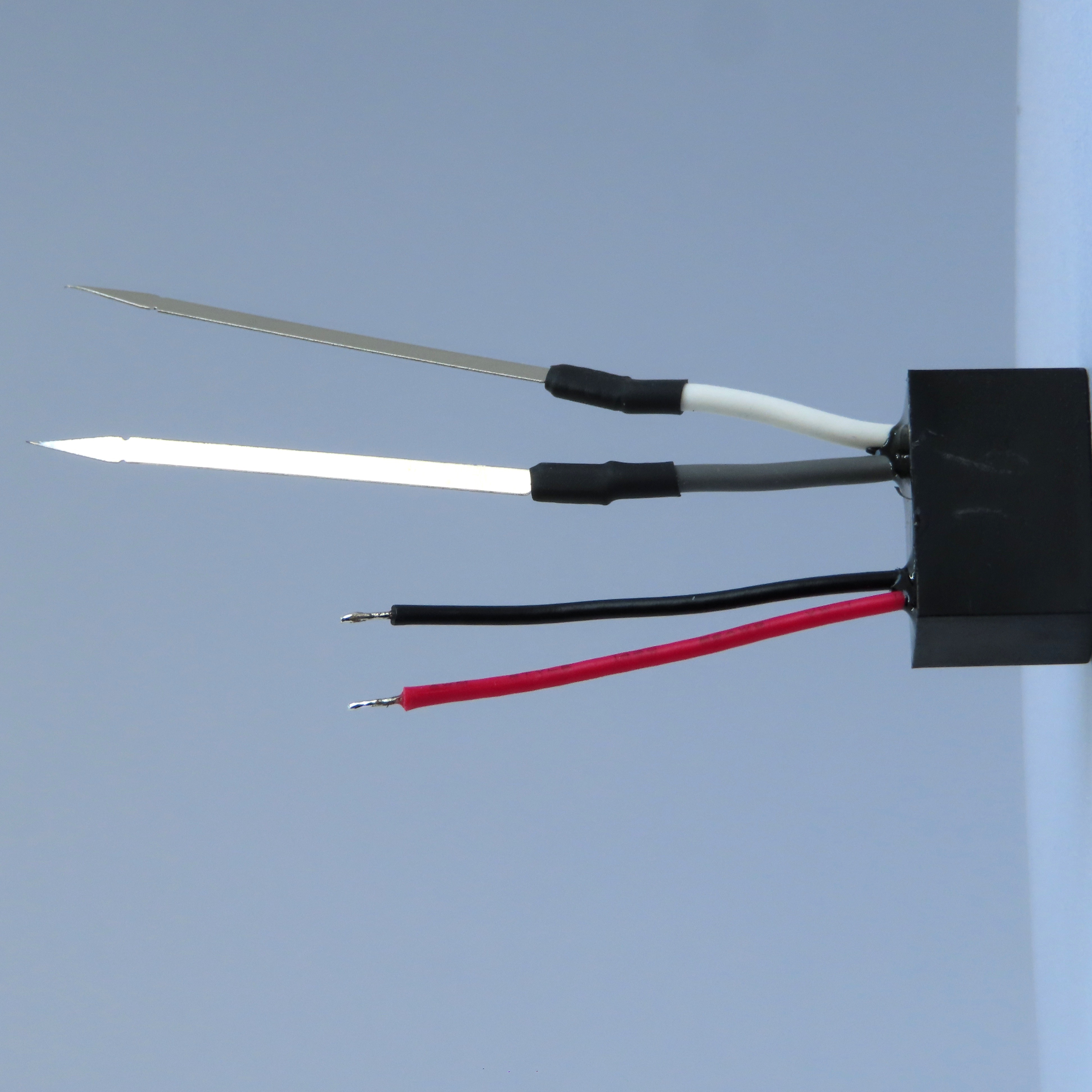 Z2WVS_3594