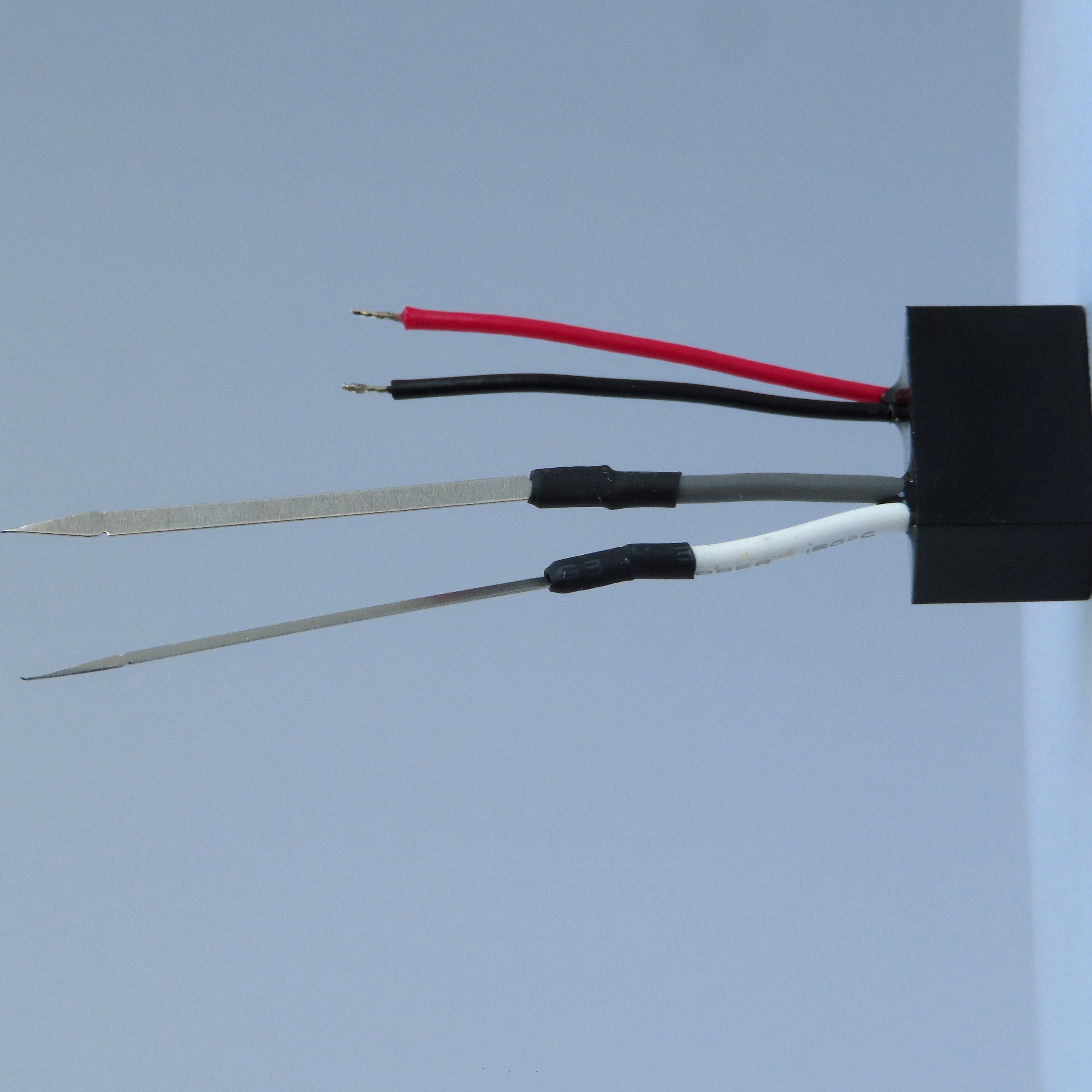Z2WVS_3596