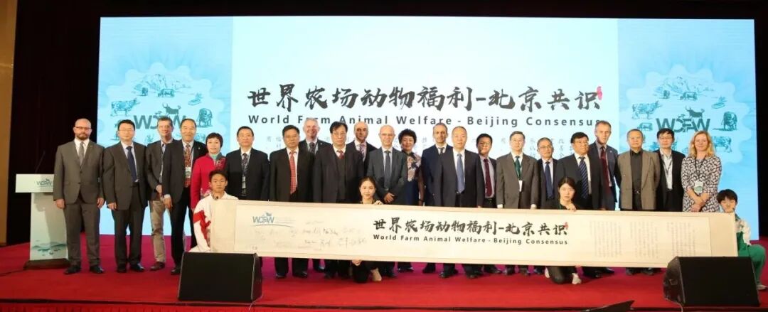2025动物福利与可持续农食大会综合论坛