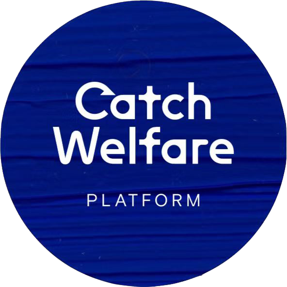3-捕捞鱼类福利平台CatchWelfarePlatform